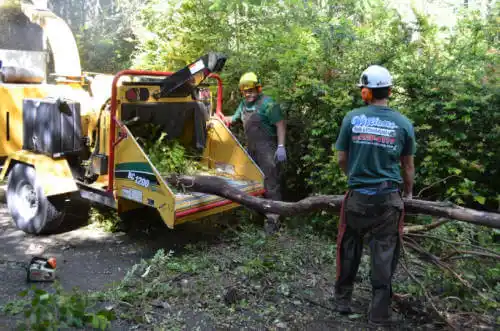 tree services Pine Mountain